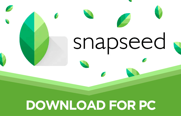 snapseed for pc