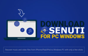 windows version of senuti